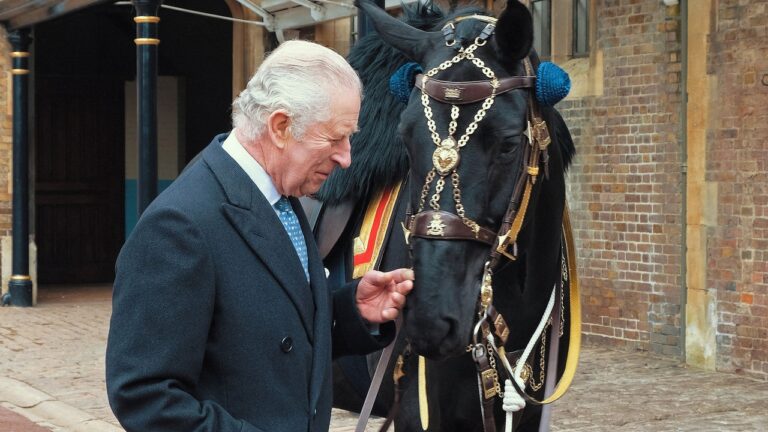 Le roi Charles a un nouveau cheval canadien, comme le veut la tradition