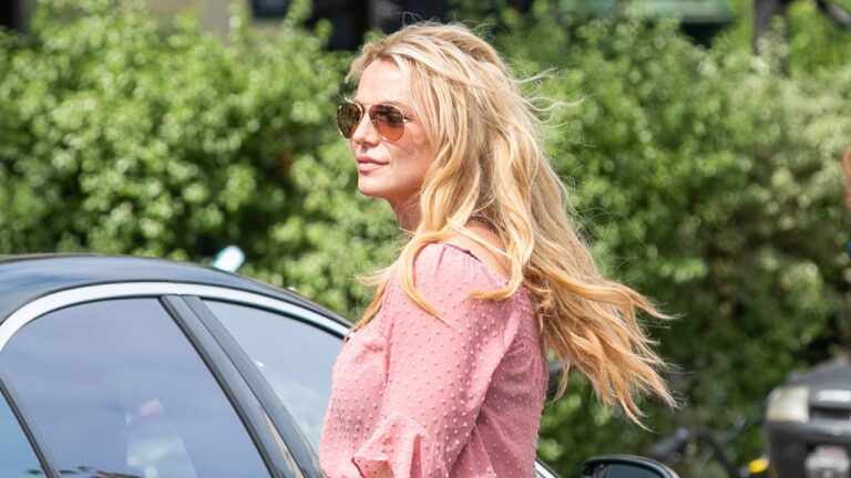 L&rsquo;affaire Britney Spears, poète lauréate d&rsquo;Instagram