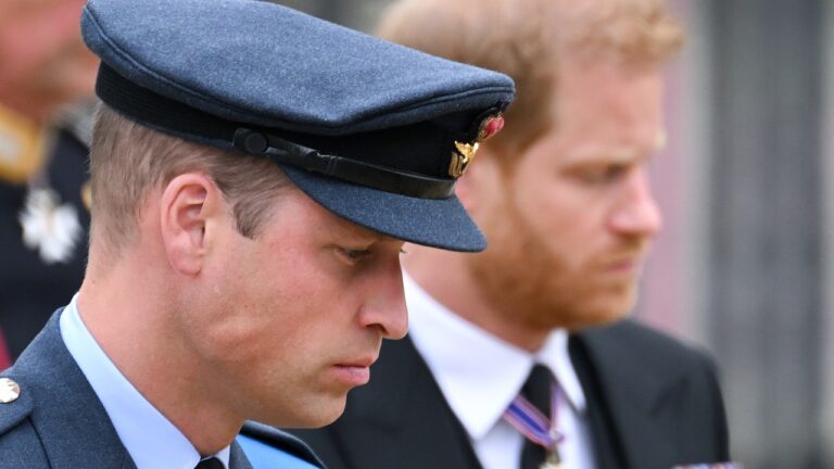 Le prince Harry et le prince William n&rsquo;auraient toujours pas parlé après Spare