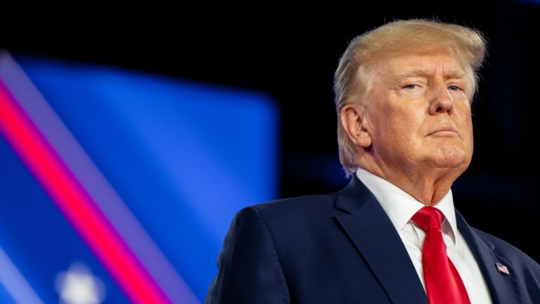 Grâce à E. Jean Carroll, Donald Trump est maintenant candidat à la présidence avec les mots « prédateur sexuel certifié » à côté de son nom