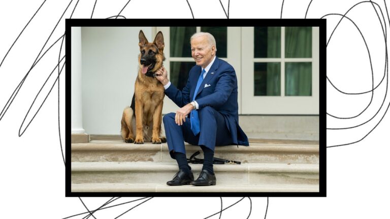 Pourquoi les amoureux des chiens continuent de harceler Joe Biden et les services secrets