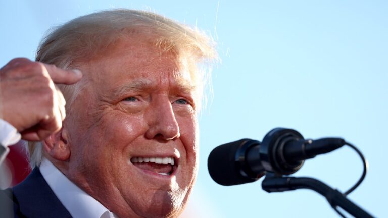 Trump est extrêmement susceptible à l&rsquo;égard des électeurs qui disent qu&rsquo;il n&rsquo;est pas « mentalement prêt pour le poste » de président