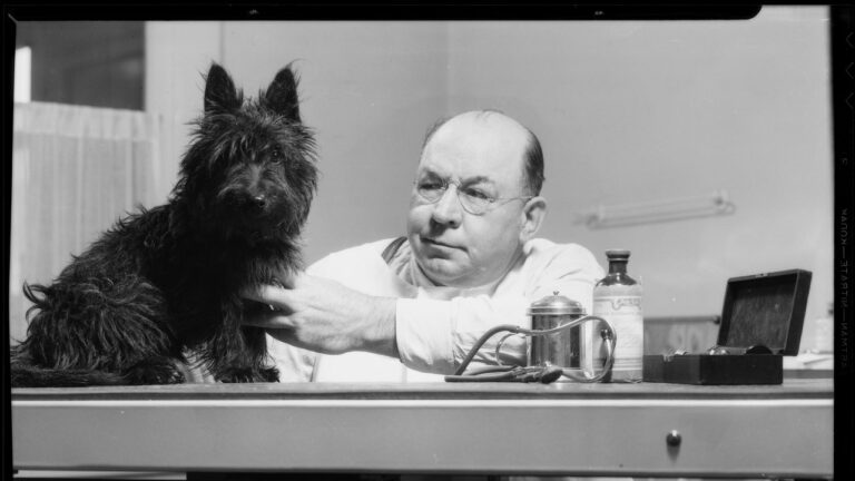 Le législateur républicain déclare que l&rsquo;avortement n&rsquo;est pas un soin de santé – et il le sait parce qu&rsquo;il était vétérinaire et qu&rsquo;il a « fait des milliers d&rsquo;échographies sur des animaux »