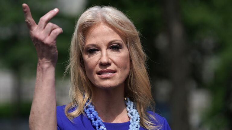 Kellyanne Conway : Trump devrait choisir une personne de couleur comme vice-président et ensuite prétendre que cela n&rsquo;a rien à voir avec la race