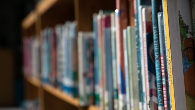 17 États envisagent des lois qui emprisonneraient les bibliothécaires