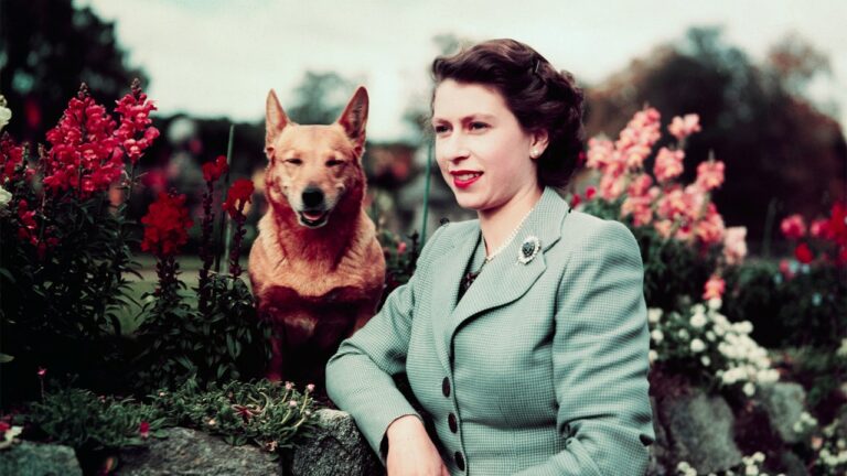 La famille royale célèbre l'anniversaire de la reine Elizabeth II avec quelques photographies