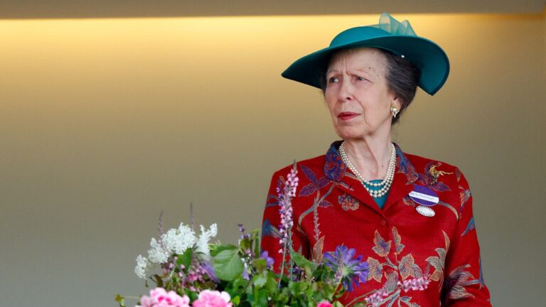 La princesse Anne rompt le silence après son hospitalisation pour exprimer ses « profonds regrets »