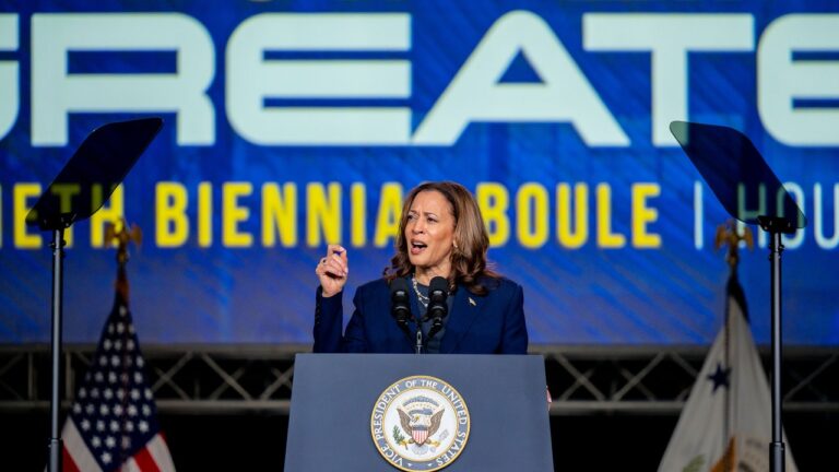 Kamala Harris peut-elle se débarrasser du bagage économique de Biden ?