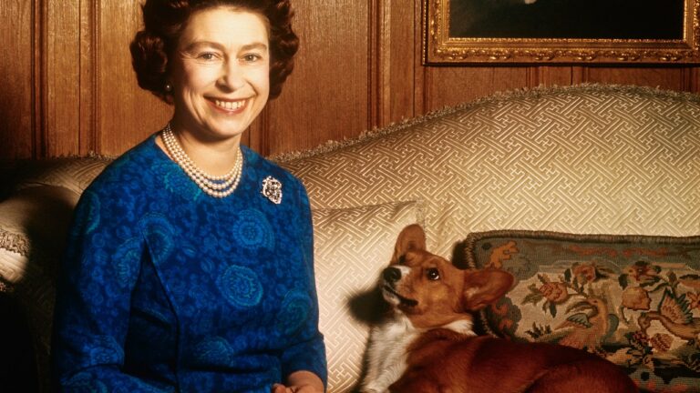Sarah Ferguson célèbre la Journée internationale du chien avec les corgis les plus précieux de la reine Elizabeth