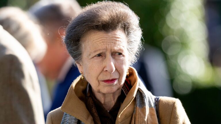 La princesse Anne se souvient de «rien» d'accident de cheval