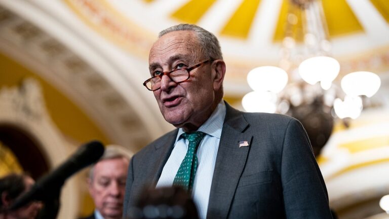 Chuck Schumer a fait le bon appel dans le mauvais sens