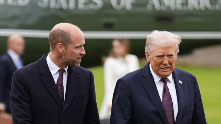 Pourquoi le prince William A Pris du Temps pour Donald Trump – et pas Le Prince Harry