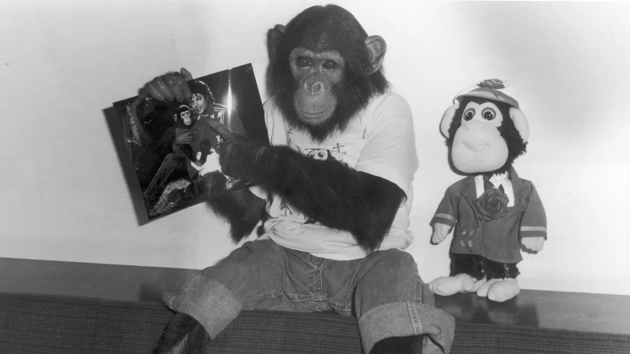 Qu'est-il arrivé à Bubbles, le chimpanzé de compagnie de Michael Jackson ?