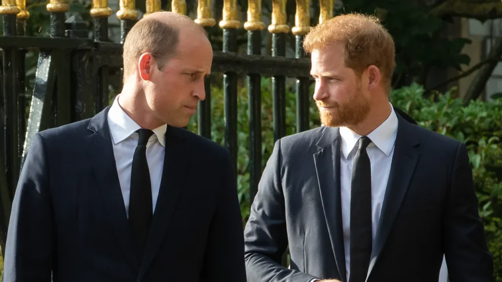 La visite du prince Harry au Royaume-Uni est une « source de profonde irritation » pour le prince William
