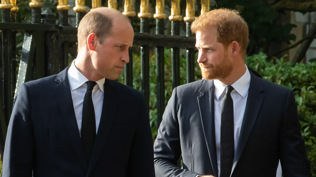 La visite du prince Harry au Royaume-Uni est une « source de profonde irritation » pour le prince William