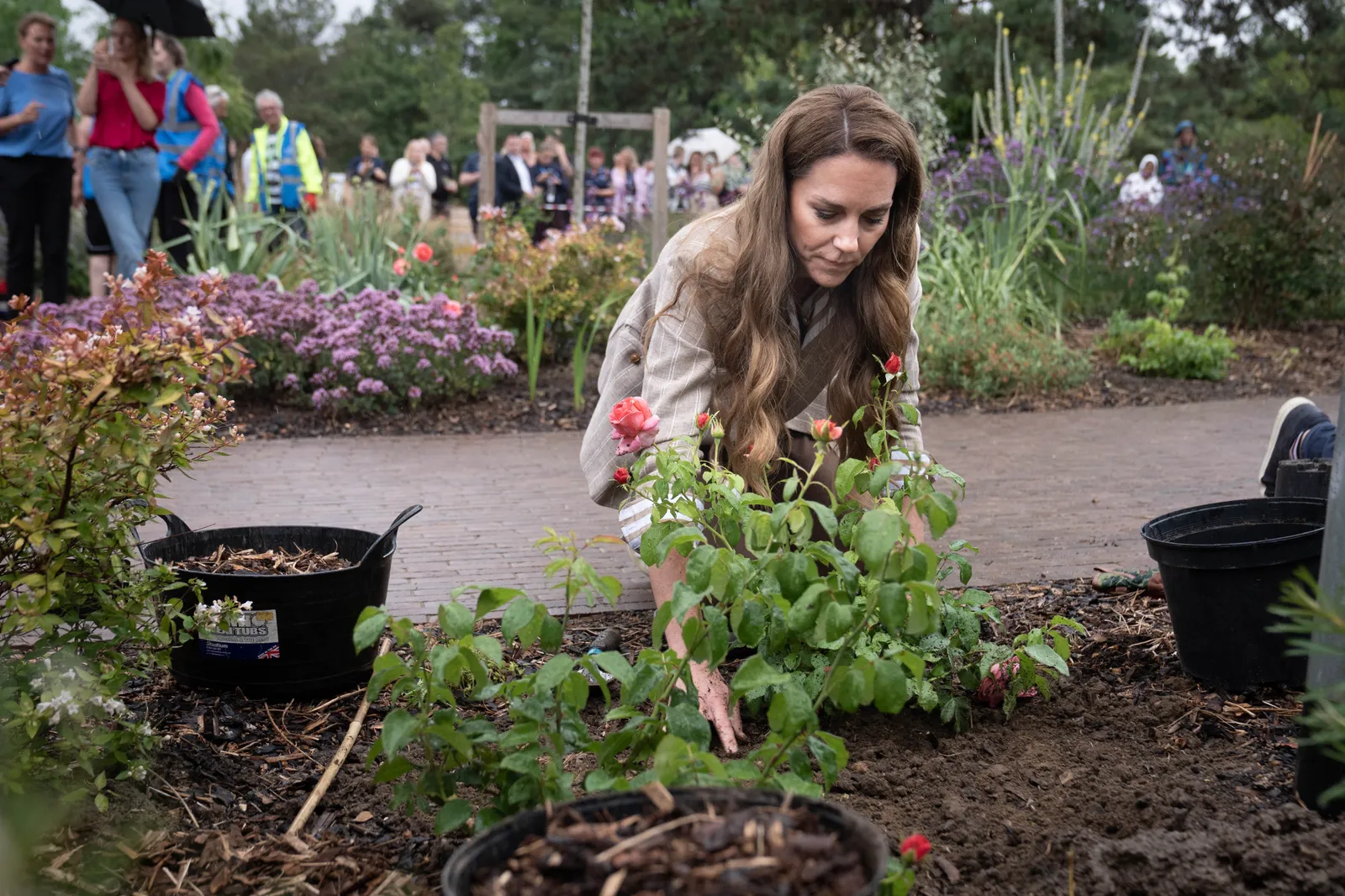 L'image peut contenir un jardin, une nature, un jardinier, un jardinier et une personne.