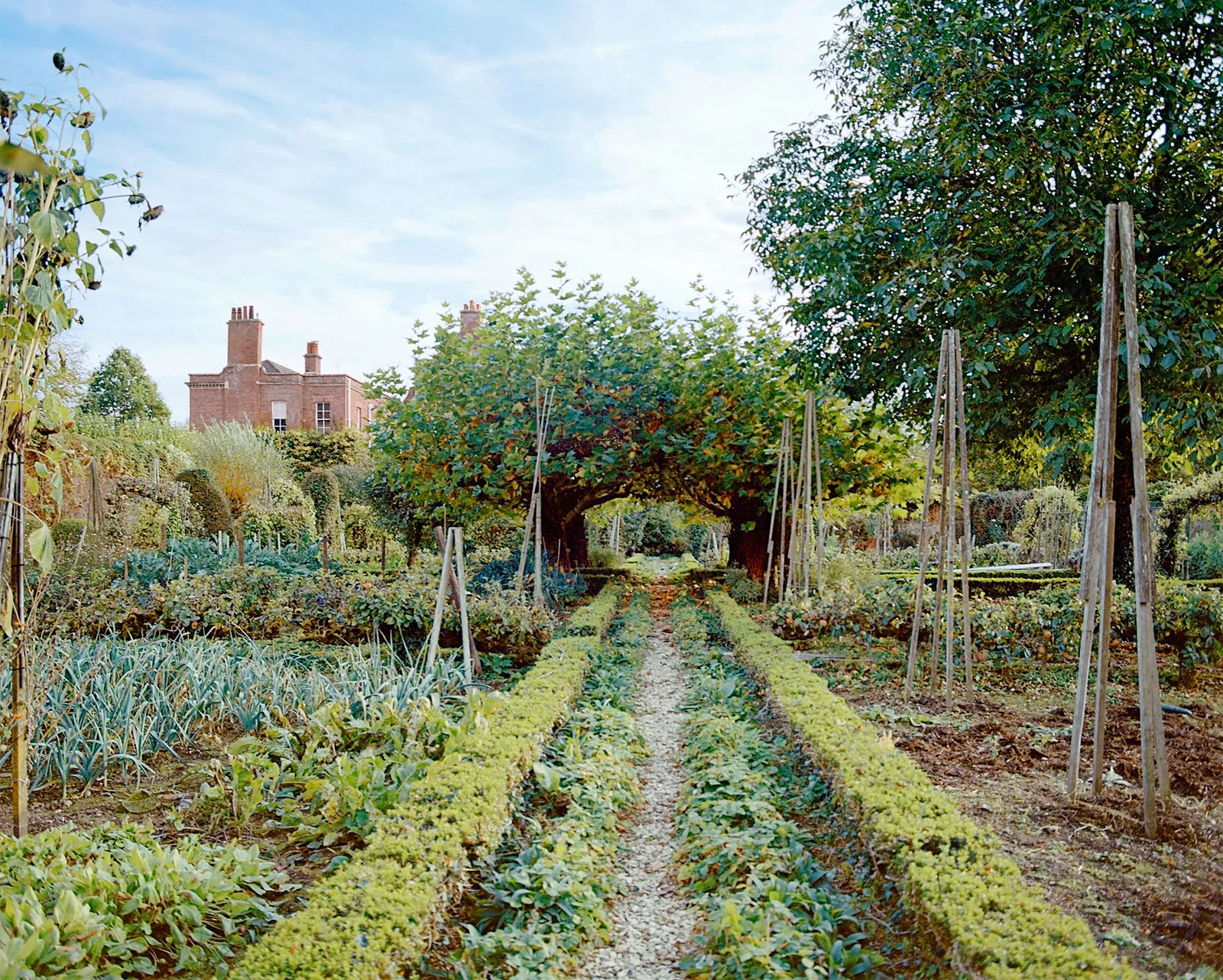 Un jardin Conran Estate.