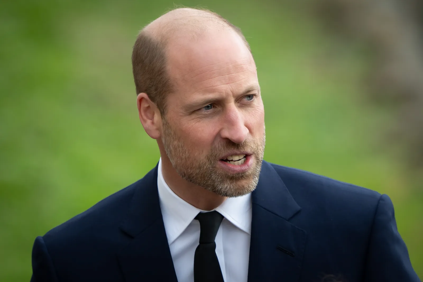 L'image peut contenir des accessoires du prince William, duc de Cambridge, tenue formelle, cravate, barbe, visage, tête, personne et adulte.
